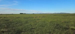 Campo verde y horizonte serrano en finca rural en Buenos Aires.